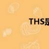 THS是啥意思（什么是THS）