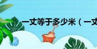 一丈等于多少米(一丈是多少米)