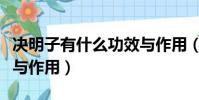 决明子有什么功效与作用(决明子有哪些功效与作用)