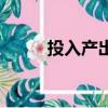 投入产出表格模板（投入产出表）
