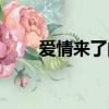爱情来了的文案（爱情来了挡不住）