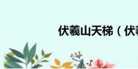 伏羲山天梯(伏羲山)