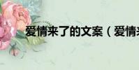 爱情来了的文案(爱情来了挡不住)