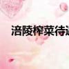 涪陵榨菜待遇 10万（政府补助涪陵榨菜）