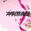 冲狗煞南是什么意思（煞南是什么意思）
