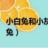 小白兔和小灰兔的故事读后感（小白兔和小灰兔）
