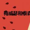 梅威瑟和泰森谁强（梅威瑟和泰森谁厉害）