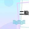 二胎奖励政策（二胎奖励）