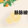脉脉被收购了吗（脉脉被约谈）