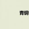 青铜镜几级进化（青铜镜）