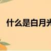 什么是白月光和朱砂痣（白月光是什么梗）