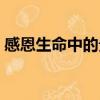 感恩生命中的贵人文案（感恩生命中的贵人）