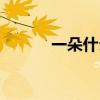 一朵什么什么成语（一朵什么）