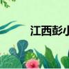 江西彭小松（江西彭小峰被批捕）