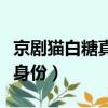 京剧猫白糖真正身份大结局（京剧猫白糖真正身份）