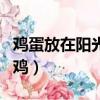 鸡蛋放在阳光下可以孵化么（鸡蛋放阳台孵出鸡）