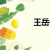 王岳伦歌曲（王岳伦电影）