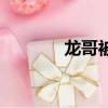 龙哥被砍死了（龙哥被砍死）