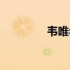 韦唯老公是谁（韦唯老公）