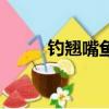 钓翘嘴鱼用什么钩最好（钓翘嘴）