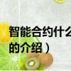 智能合约什么意思大白话（智能合约有什么好的介绍）