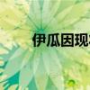 伊瓜因现状（伊瓜因将租借赴米兰）