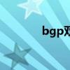 bgp双线服务器（bgp双线）