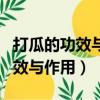 打瓜的功效与作用禁忌糖尿病能吃（打瓜的功效与作用）