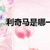 利奇马是哪一年的（利奇马是哪个国家的）