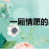 一厢情愿的感情太卑微（一厢情愿意思）
