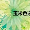 玉米色选机的作用（玉米色选机）