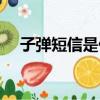 子弹短信是什么（子弹短信是用流量吗）