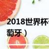 2018世界杯葡萄牙vs乌拉圭（2018世界杯葡萄牙）