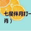 七星伴月打一生肖数字时辰（七星伴月打一生肖）