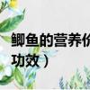 鲫鱼的营养价值及功效图（鲫鱼的营养价值及功效）