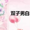 双子男白羊女适配（双子男白羊女）