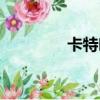 卡特叶有何药用（卡特叶）