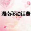 湖南移动话费详单查询（移动话费详单查询）