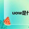 uow是什么意思（uwp什么意思）
