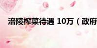 涪陵榨菜待遇 10万(政府补助涪陵榨菜)