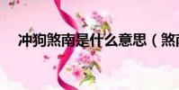 冲狗煞南是什么意思(煞南是什么意思)