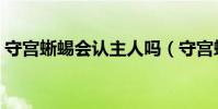 守宫蜥蜴会认主人吗(守宫蜥蜴认得主人吗)