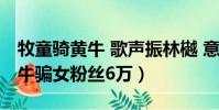 牧童骑黄牛 歌声振林樾 意欲捕鸣蝉作者(黄牛骗女粉丝6万)