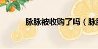 脉脉被收购了吗(脉脉被约谈)