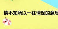 情不知所以一往情深的意思(一往情深的意思)