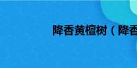 降香黄檀树(降香黄檀)