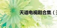 天道电视剧合集(天道决)