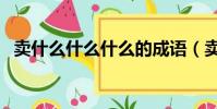 卖什么什么什么的成语(卖什么什么什么)