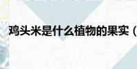 鸡头米是什么植物的果实(鸡头米是什么)