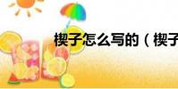 楔子怎么写的(楔子怎么写)